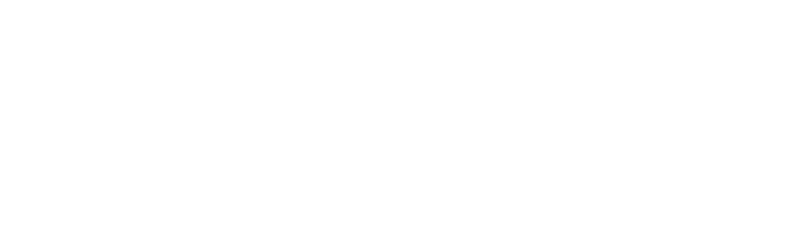 logo light